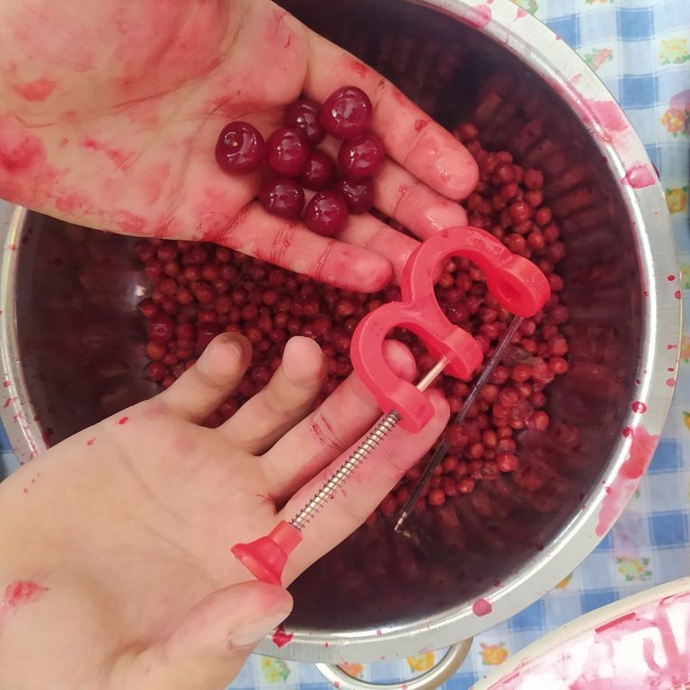 هسته گیر آلبالو